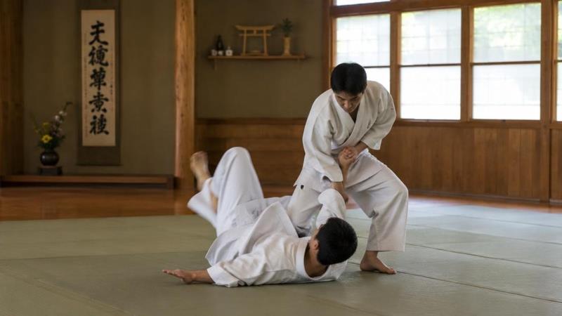 Traditional Martial Arts in Modern Military Training